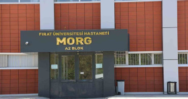 Elazığ'da Bıçaklama Olayı: Bir Kişi Hayatını Kaybetti