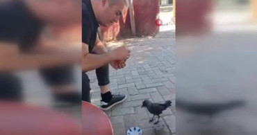Elazığ'da bir vatandaş, yavru kargayı elleriyle besledi