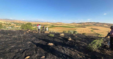 Elazığ'da çıkan arazi yangını itfaiye ekipleri tarafından söndürüldü