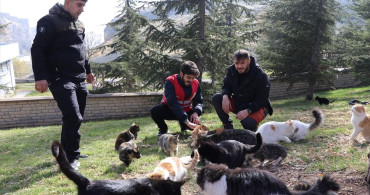 Elazığ'da Gençler Sahipsiz Kedilere Mama Dağıtıyor