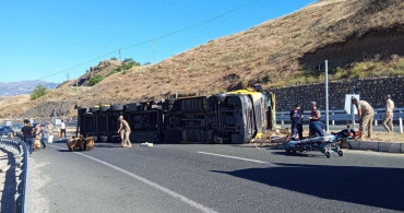 Elazığ’da hayvan yüklü tır devrildi: 2 yaralı