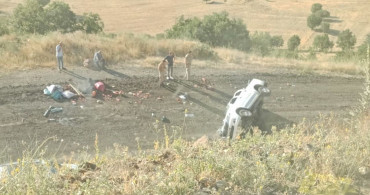 Elazığ'da kamyonet şarampole yuvarlandı, 4 kişi yaralandı