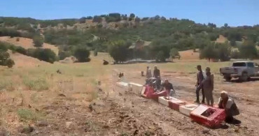 Elazığ’da kenelerle mücadele için doğaya keklik bırakıldı