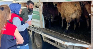 Elazığ'da Kurban Bayramı Öncesi Hayvan Denetimleri