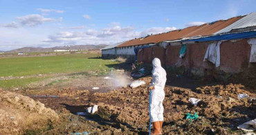 Elazığ'da Larva İlaçlama Çalışmaları Başladı