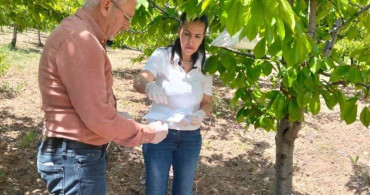 Elazığ'da Meyve Bahçelerinde Zararlı Takibi Yapılıyor
