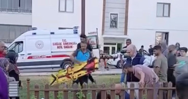 Elazığ'da motosiklet elektrik direğine çarptı: 1 yaralı