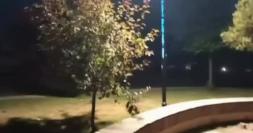 Elazığ’da polisten kaçan sürücüye rekor ceza