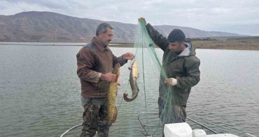 Elazığ’da Su Ürünleri Araştırma Çalışmaları Devam Ediyor