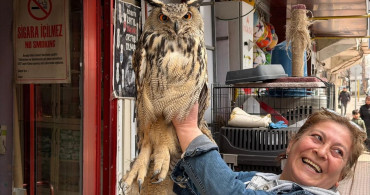 Elazığ'da Yaralı Puhu Kuşu Tedavi Altına Alındı