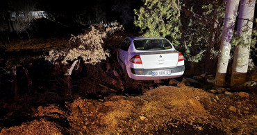 Elazığ'da Yoldan Çıkan Araçta 4 Kişi Yaralandı