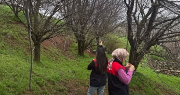 Elazığ'da Zirai Don Mücadelesi Devam Ediyor