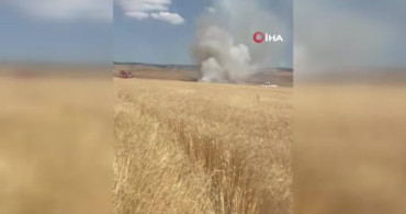 Elazığ'ın Karakoçan ilçesinde tarım alanları yangında zarar gördü