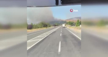 Elazığ'ın Palu ilçesinde buğday tarlasında çıkan yangın kontrol altına alındı