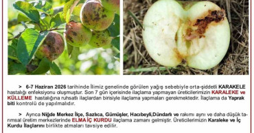 Elma Üreticilerine Hastalık Uyarısı
