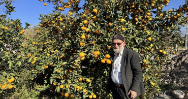Elmacı Dede'den Mehmetçiğe Destek: Mandalina Yardımı