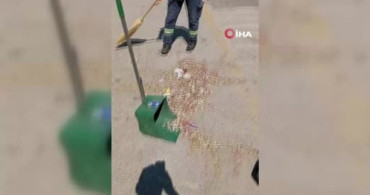 Elmadağ’da vatandaş, yere atılan çöplere tepki gösterdi