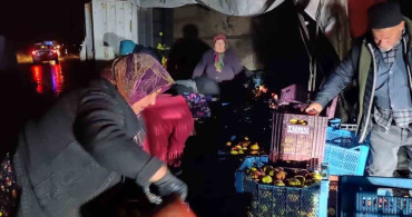 Elmalar Kazada Yola Saçıldı, Köylüler Topladı