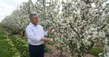 Elmaların Depo Sorunu: Tüccarların Fiyat Politikaları ve Üretici Sorunları