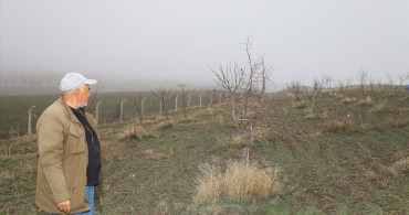 Emekli Öğretmenden Hünnap Üretimi Hamlesi