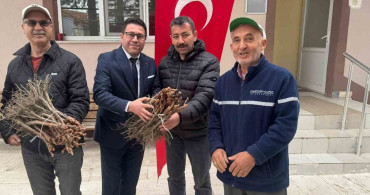 Emet’te Bağcılığa Destek: 35 Üreticiye 980 Üzüm Fidanı