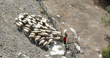 Emine Çalık: Çobanlık ve Servisçilikle Aile Bütçesine Katkı Sağlıyor