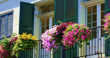En Güzel Balkon Çiçekleri Hangileri?