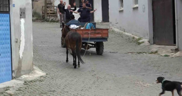 Engelli gencin katırıyla dostluğu dikkat çekiyor
