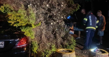 Erdek'te fırtına ve dolu yağışı: ağaçlar devrildi, çatılar uçtu