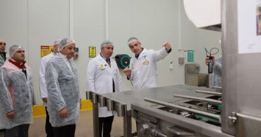 Erzincan'da Ballar İşleniyor: Modern Tesisle Kalite Artıyor