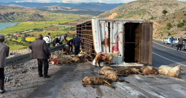 Erzincan'da Canlı Hayvan Taşıyan Kamyon Kazası