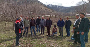 Erzincan'da Çiftçilere Budama Eğitimi