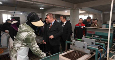 Erzincan'da Fide Üretimi Zirveye Çıkıyor