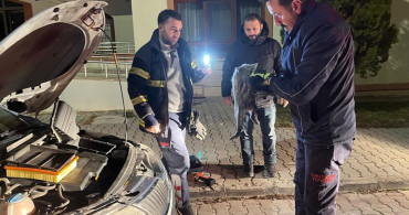 Erzincan'da İtfaiye Kediyi Kurtardı