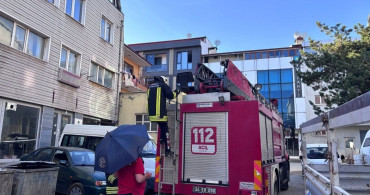 Erzincan'da karga ailesi yavrusu için kedilere ve insanlara meydan okudu