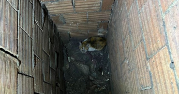 Erzincan'da Kediyi Kurtaran İtfaiye Ekibi