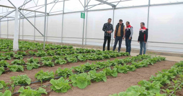 Erzincan'da Modern Seracılık Faaliyetleri