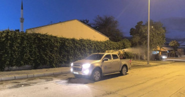 Erzincan'da Sinek Mücadelesi İkinci Aşamada
