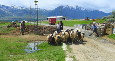 Erzincan'da Yayla Yolculuğu Zorluklarla Başladı