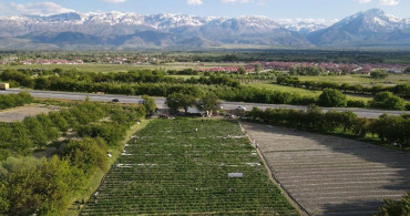 Erzincan'da Yeni Çilek Konsepti: 'Yediğin Senin, Topladığın Benim'