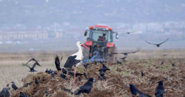 Erzincan'da Zirai Don Uyarısı