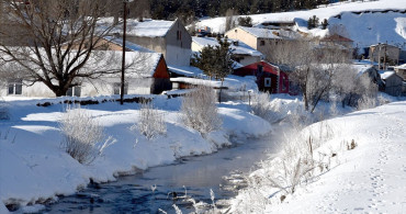 Erzurum, Ardahan ve Kars'ta Dondurucu Soğuklar Etkili