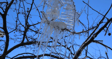 Erzurum, Ardahan ve Kars'ta Soğuk Hava Etkisini Sürdürüyor