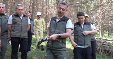 Erzurum orman bölge müdürlüğü'nden palandöken'deki ağaçlar için bakım çalışmaları