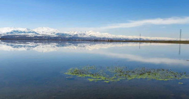 Erzurum ve Çevresinde Zirai Don Uyarısı Yapıldı