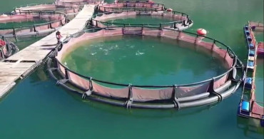 Erzurum'da 3,38 Milyar TL Destekle 5.226 Yeni İş İmkanı