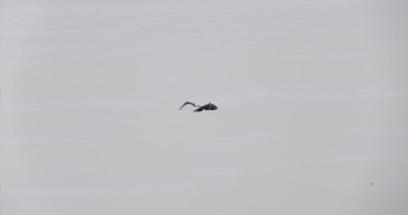 Erzurum'da Köyceğiz Göleti Buz Tutmuş Durumda