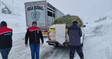 Erzurum'da Mahsur Kalan Hayvanlara Yardım