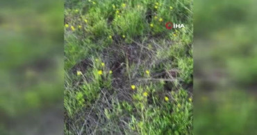 Erzurum'da Trafik Kazası: 3 Kişi Hayatını Kaybetti