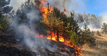 Erzurum'da Üç Noktada Çıkan Orman Yangınlarında İki Yangın Kontrol Altına Alındı